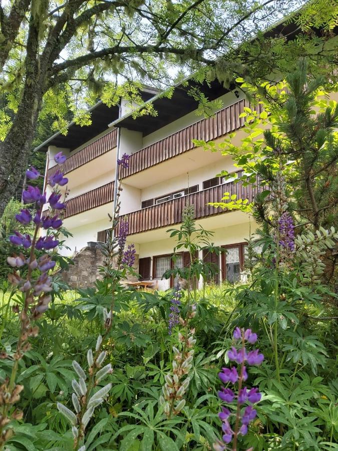 Korlape Apartman 4.2 Wolfsberg Exterior photo